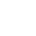 IREM Logo